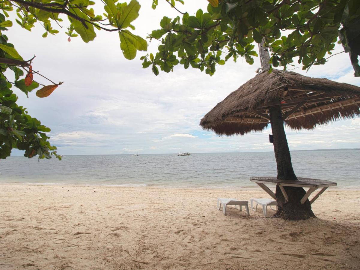 Oyo 853 Malapascua Beach And Dive Resort Eksteriør billede